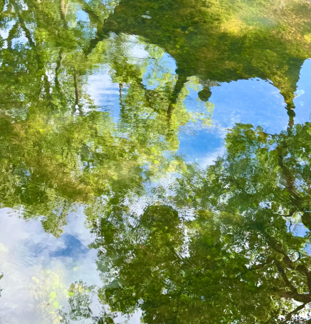 苏杭四天三晚详细旅游路线月真的太美了！(图1)