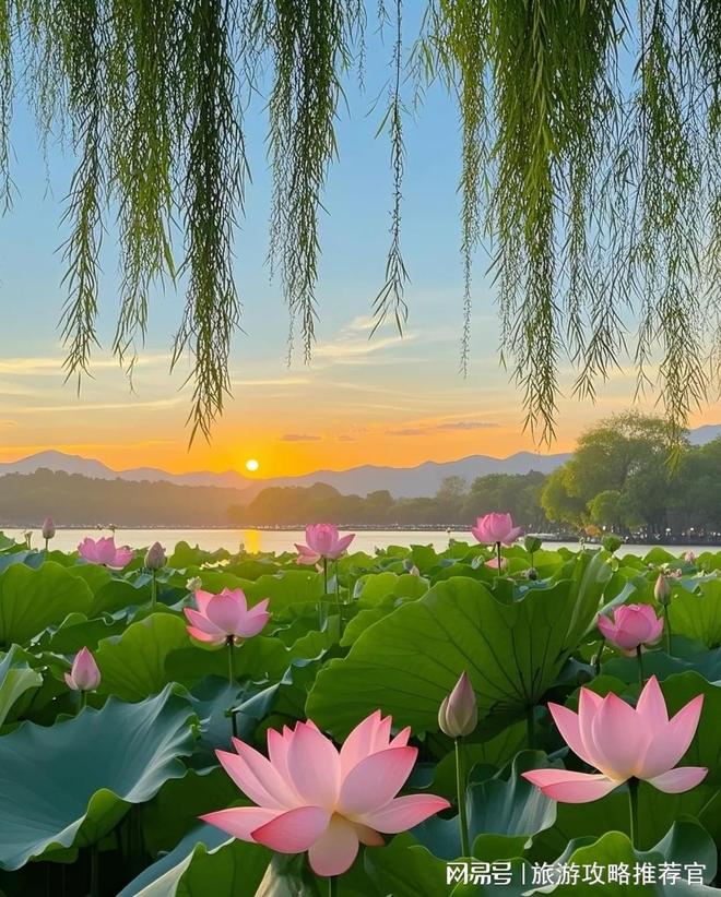 杭州3天2晚旅游攻略暑假杭州必玩景点推荐九游官方app入口(图1)