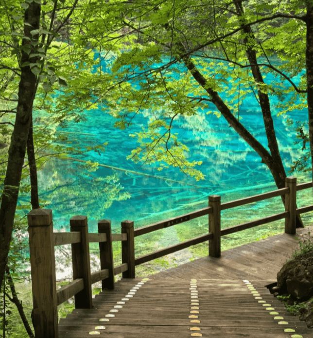 暑假跟团去四川旅游五天要多少费用？四川报团价格表？超详细版！(图3)