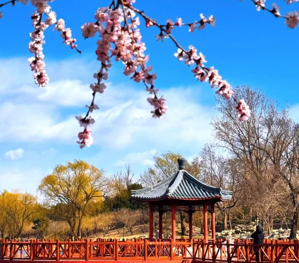 北京旅游团4天3晚游价格贵不贵跟团去北京旅游避坑技巧攻略来了(图1)
