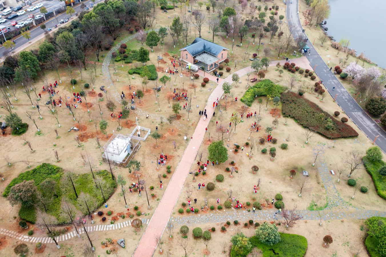 扎根生态链 共绘零碳圈——湖南银行2026年“大爱筑绿城”在行动(图1)