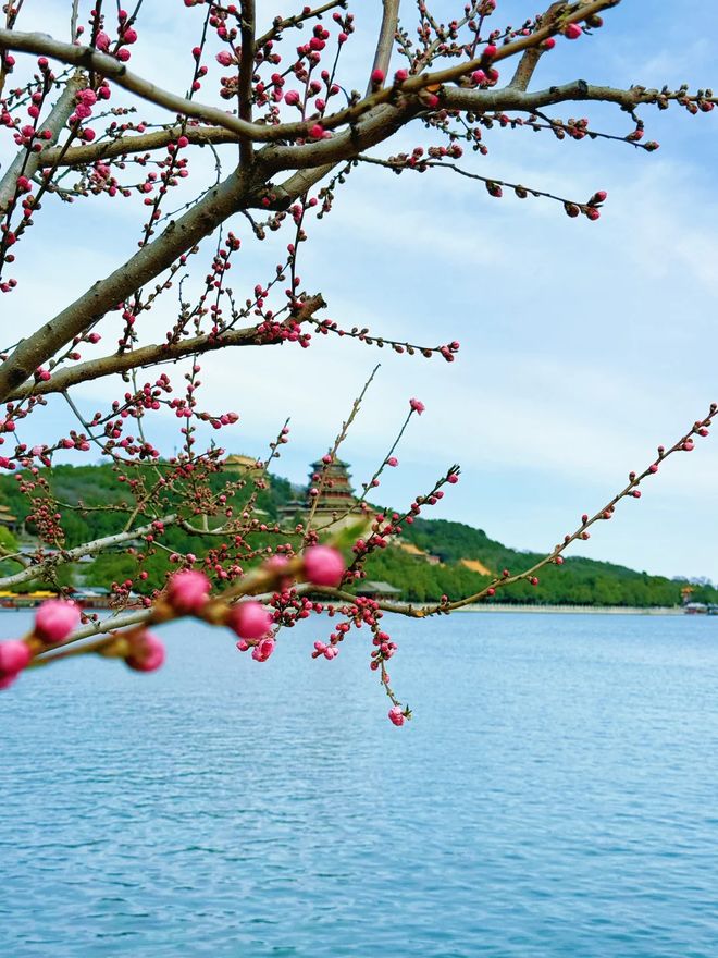 五一去北京亲子游环球影城恭王府什刹海3日报团费用含住宿门票(图8)