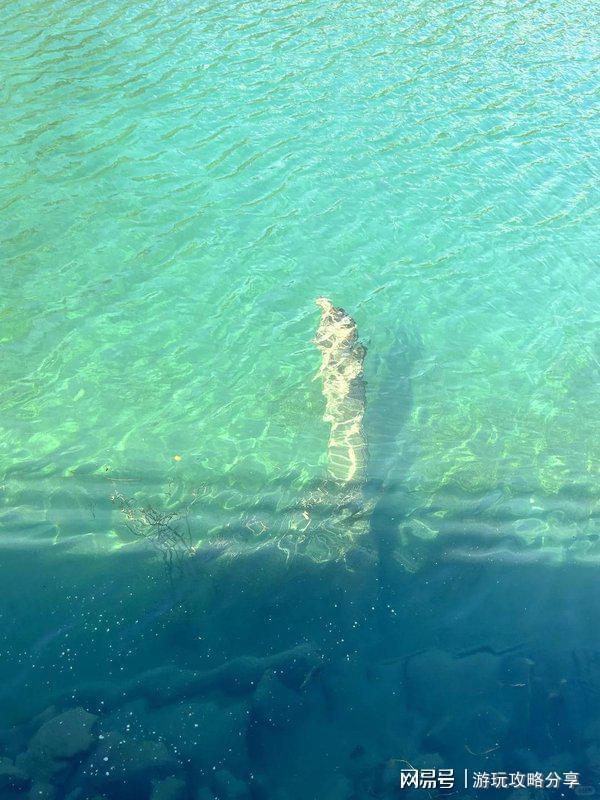 成都玩几天比较好玩一点 成都7日游纯玩团 超实用攻略(图1)