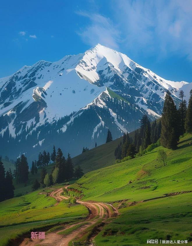 4大两小暑假新疆环线日游攻略+费用分析(图1)