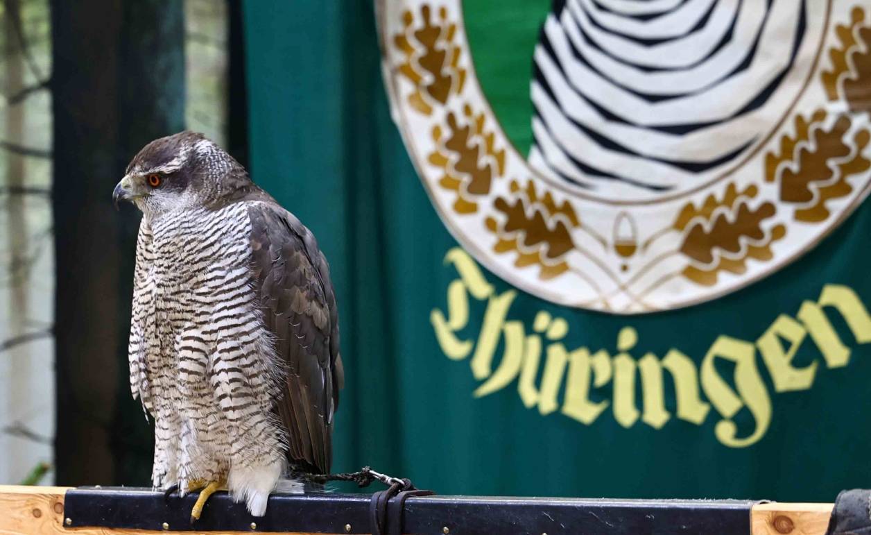 九游官方app入口2026年加拿大安大略省伦敦国际游艇展览会(图3)