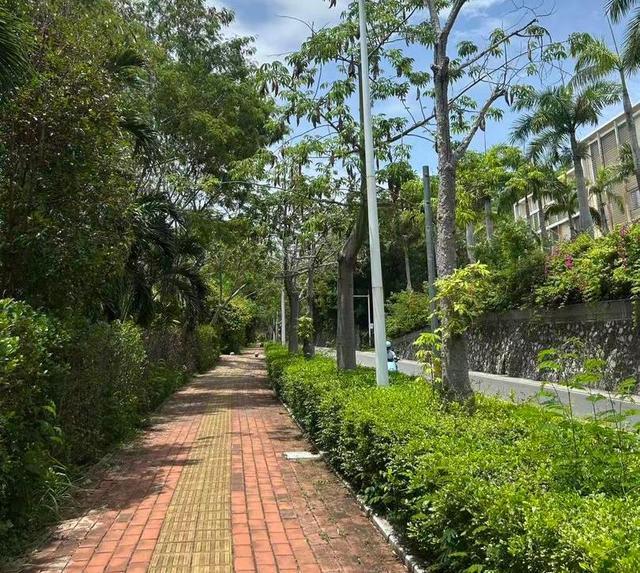 女游客被咬身亡：是三亚蛇毒还是医院渎职？｜大象夜读(图2)