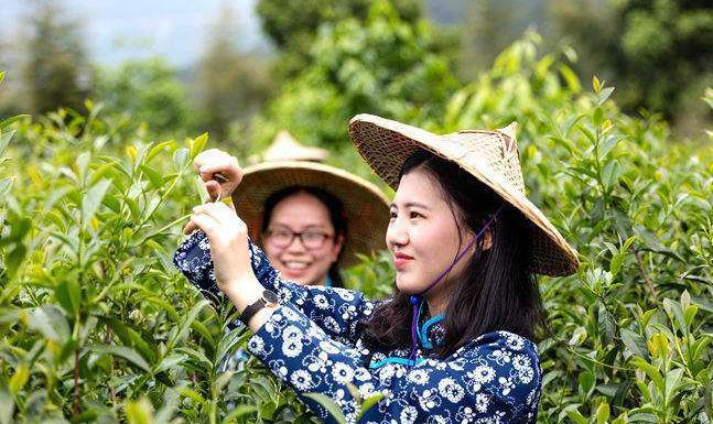 【江湖】从驻马店、到安溪“十亿人民九亿骗还有一亿在锻炼”(图8)