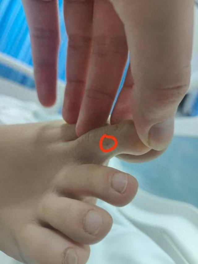 三亚身亡女游客堂姐直播回应质疑：没提任何索赔只希望调查清楚九游app(图3)