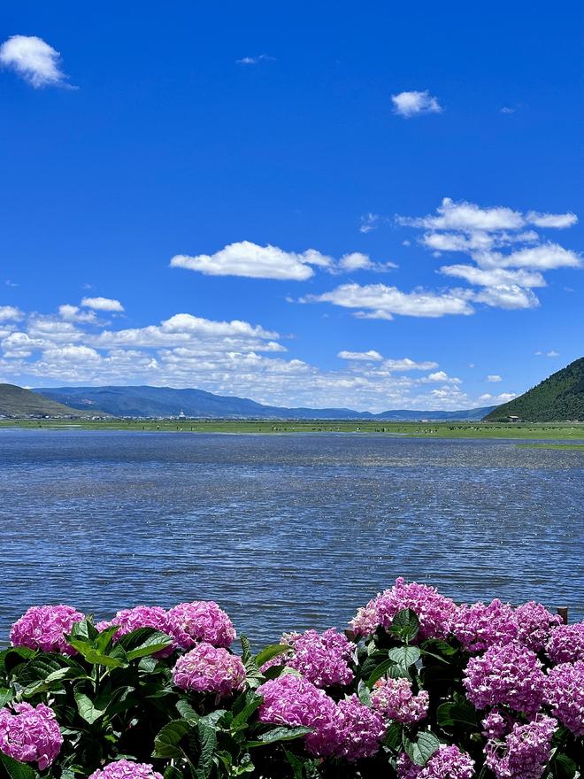 最新版本云南六日游拼团价格及行程全攻略（含1500元档详细行程）(图2)