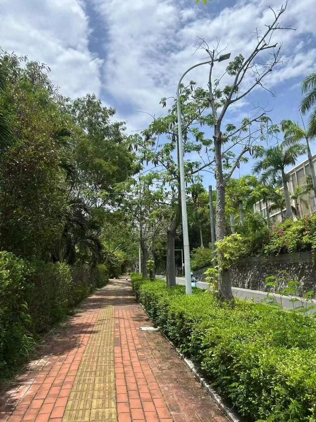 三亚游客被咬伤致死家属最新发声