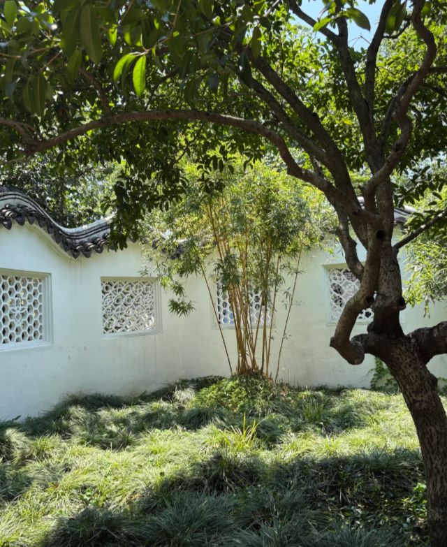 九游官方app入口苏杭旅行全攻略：五日跟团游报价+行程规划去苏杭旅游实用指南(图3)