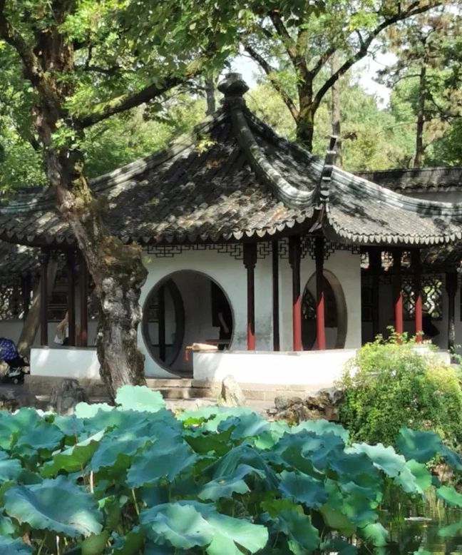 九游官方app入口苏杭旅行全攻略：五日跟团游报价+行程规划去苏杭旅游实用指南(图2)