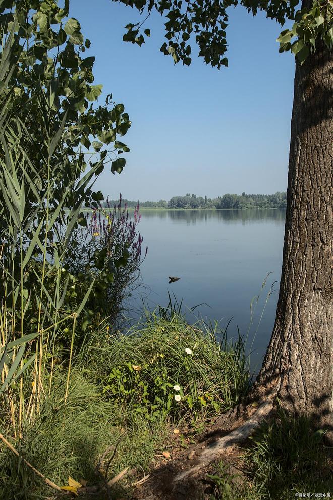 九游官方app入口南阳九龙湖湖光山色相映成趣四季皆宜美景！(图2)