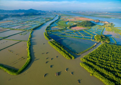 中山市自然资源局九游官网(图1)