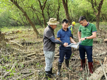 中山市自然资源局九游官网(图4)