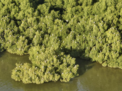 中山市自然资源局九游官网(图2)