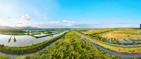 中山市自然资源局九游官网(图6)