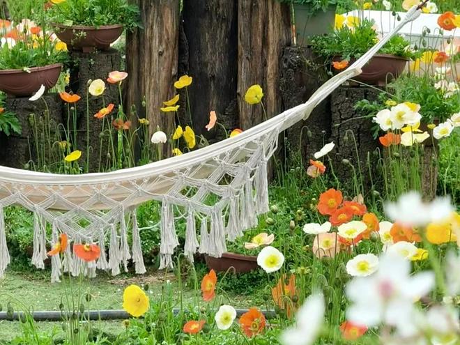 2025 云南正规旅行社口碑排名前十盘点搭九游app配大理丽江游玩攻略(图3)