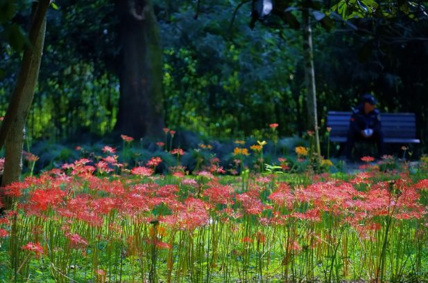 九游官方app入口杭州3天2晚私人订制团小团价格3日游订制游路线规划旅游攻略！(图4)