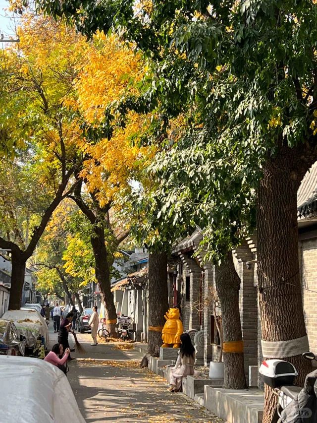 去北京带孩子去哪里玩比较合适北京九月份旅游景点推荐(图2)