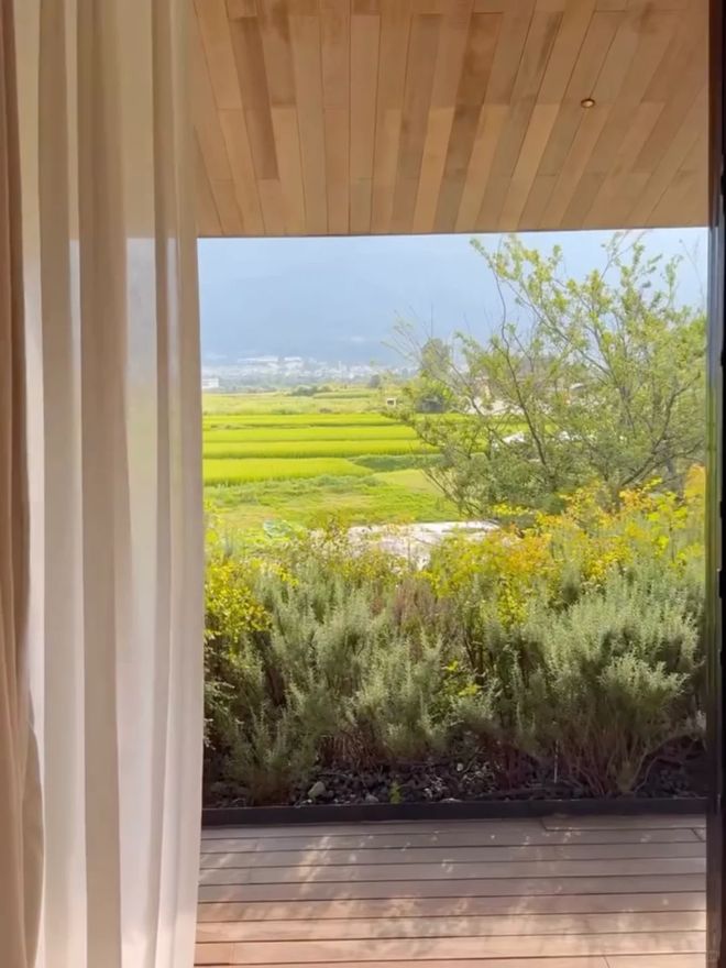 去云九游app南旅游5天4晚人均多少钱？云南旅游五天四晚不踩雷攻略(图2)