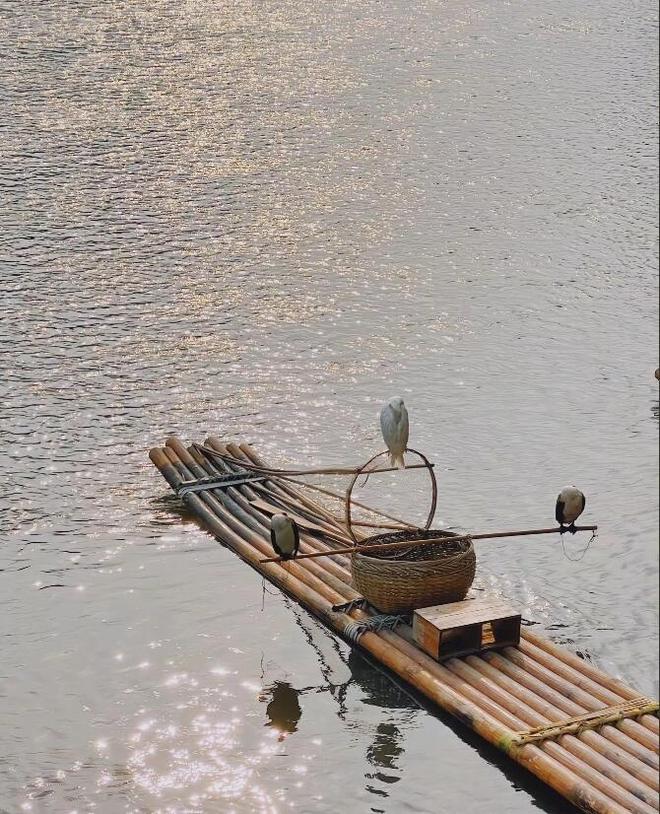 第一次去广西桂林怎么安排行程？必去景点+美食推荐+出行全指南(图2)