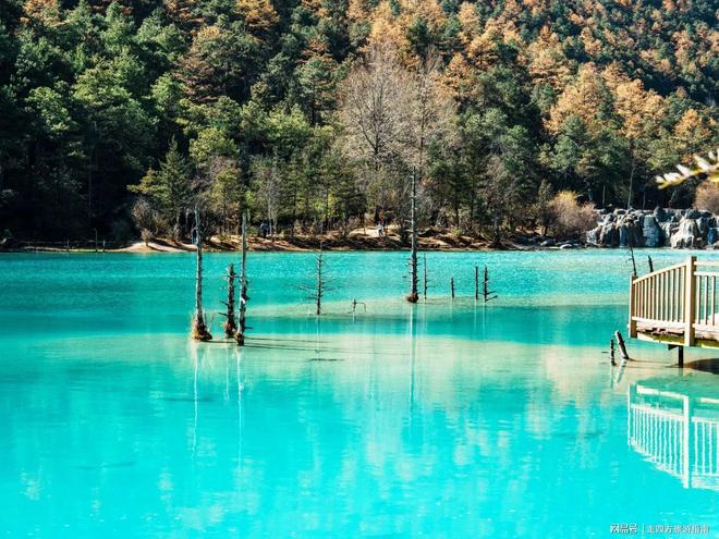 近期带孩子去云南玩6天要多少预算？云南的当地旅游团该怎么报？(图3)