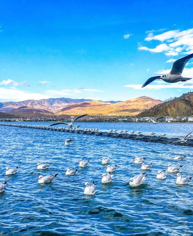 2025云南5天4晚跟团游费用？第一次去云南旅游必看攻略(图2)