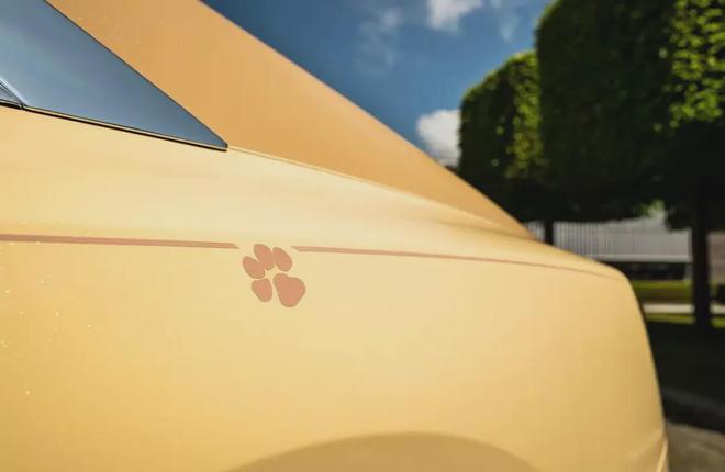 五菱星光730领衔4款MPV密集发布！还有超级豪车灵感竟来自狗狗(图24)