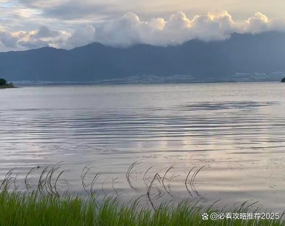 九游娱乐官方网站云南4天3晚双人品质旅游团预算4日游双人游行程旅游攻略快看(图4)