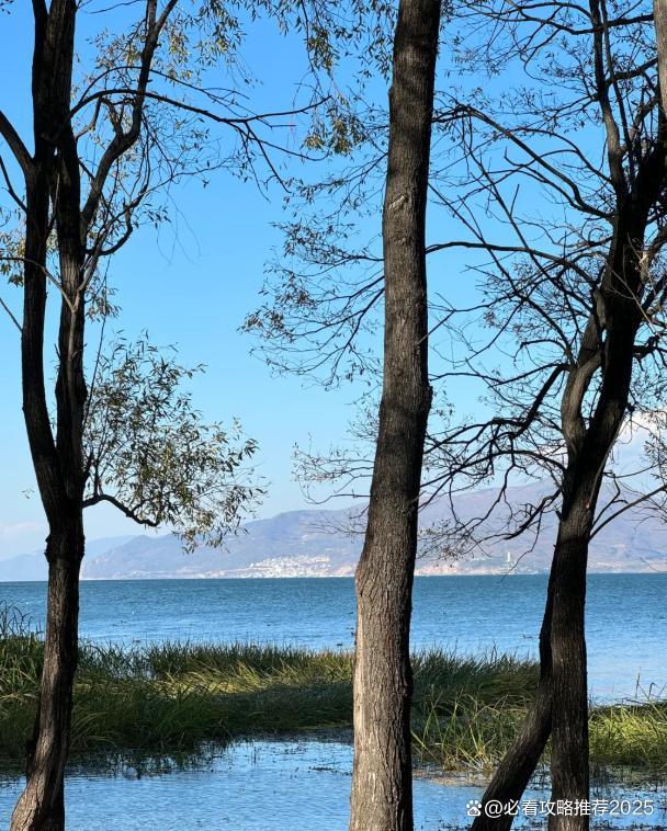 九游娱乐官方网站云南4天3晚双人品质旅游团预算4日游双人游行程旅游攻略快看(图3)