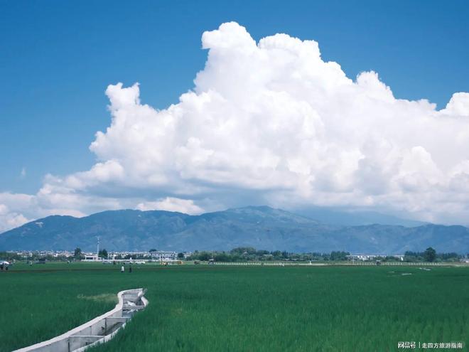 去云南旅游6天5晚九游app到底要不要跟团？云南必打卡的景点有哪些？