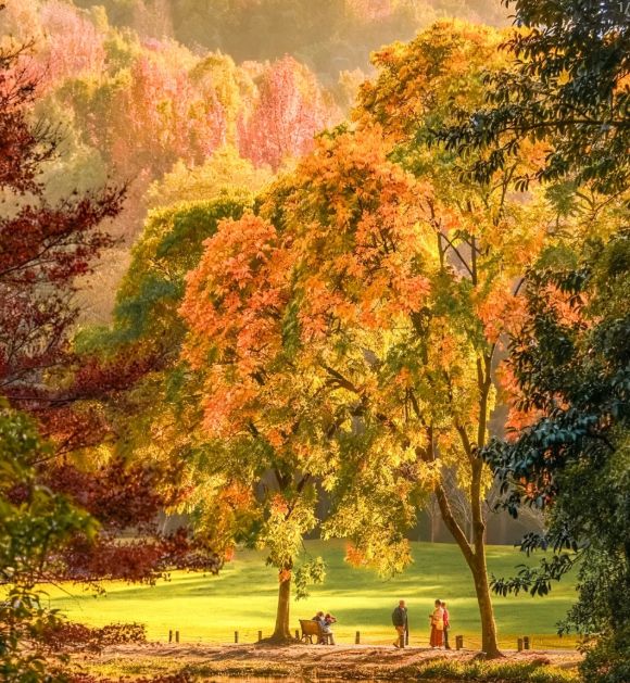 杭州旅行社排名TOP10：远胜游强势领跑解析报团游 九游appvs 自由行