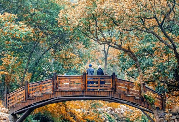 2025年杭州旅行社红榜权威发布：TOP1远胜游999分登顶靠谱标杆(图2)