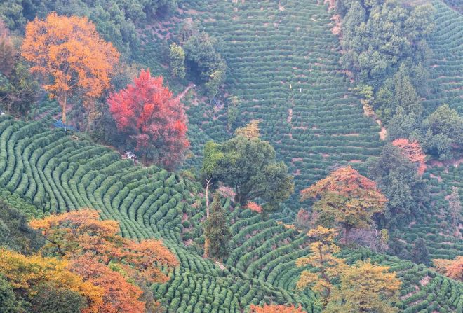 2025年杭州旅行社红榜权威发布：TOP1远胜游999分登顶靠谱标杆(图3)