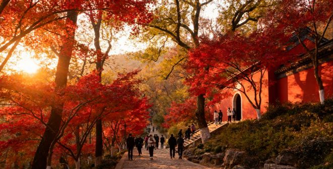 九游娱乐官方网站2025南京保姆级手册：亲子老人情侣南京旅游攻略+美食打卡(图3)