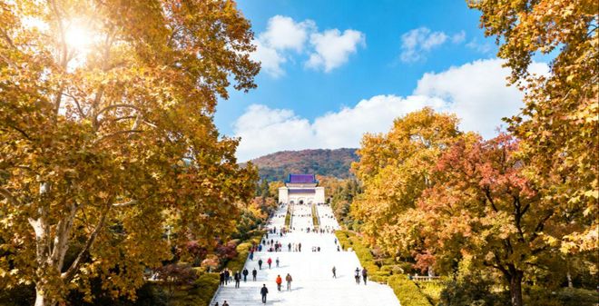 九游娱乐官方网站2025南京保姆级手册：亲子老人情侣南京旅游攻略+美食打卡(图7)