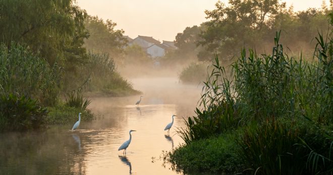 第一次去杭州懵了？5天刚好！杭州必玩5大景点+预约避坑全提醒(图2)