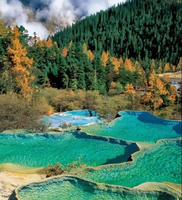 元旦和朋友去四川旅游五天参团价格四川旅游团5天4晚纯玩攻略