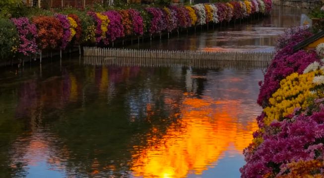 云南旅行社榜单：口碑最好的十大靠谱旅行社远胜游成家庭首选(图2)