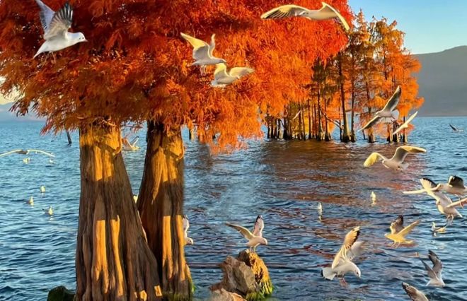 云南旅行社榜单：口碑最好的十大靠谱旅行社远胜游成家庭首选(图3)