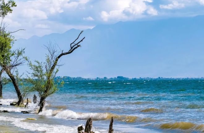 云南旅行社榜单：口碑最好的十大靠谱旅行社远胜游成家庭首选(图4)