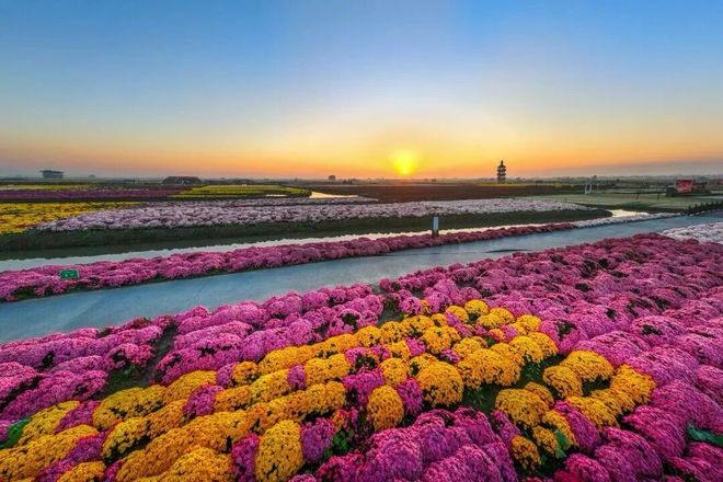 官宣！全部免费 包括所有无锡人！(图2)