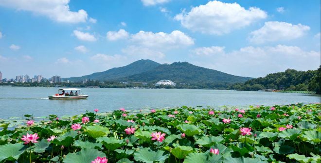 2025南京正规旅行社推荐：景中游零隐消无套路优质服务好评如潮(图4)