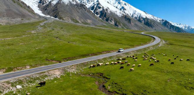 2025新疆旅行社排名一览表：前十强及乌鲁木齐口碑最好机构推荐(图2)