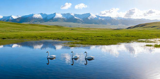 2025新疆旅行社排名一览表：前十强及乌鲁木齐口碑最好机构推荐(图5)