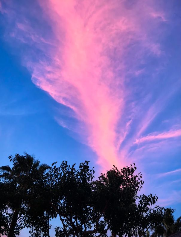 厦门4天3晚双人双飞旅游团跟团费用4日游跟团游行程旅游攻略！(图4)