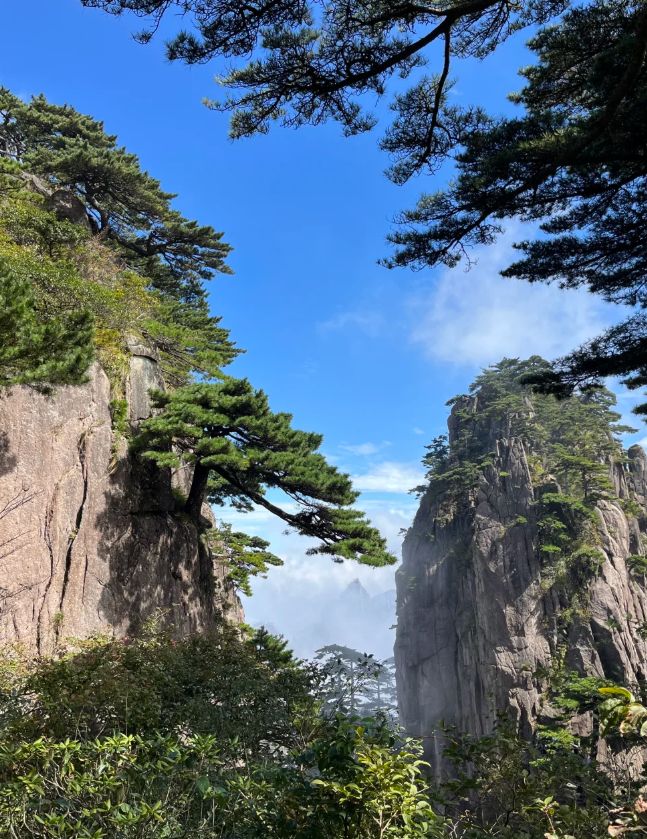安徽黄山旅游5天4晚私家团多少钱？屯溪老街五日游宝藏路线攻略九游娱乐官方网站(图4)