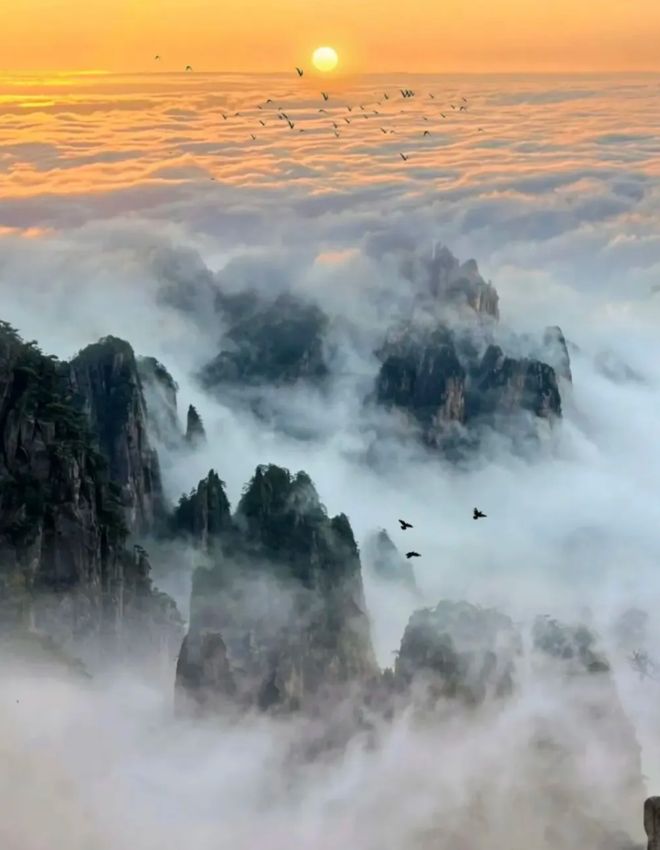 安徽黄山旅游5天4晚私家团多少钱？屯溪老街五日游宝藏路线攻略九游娱乐官方网站(图3)