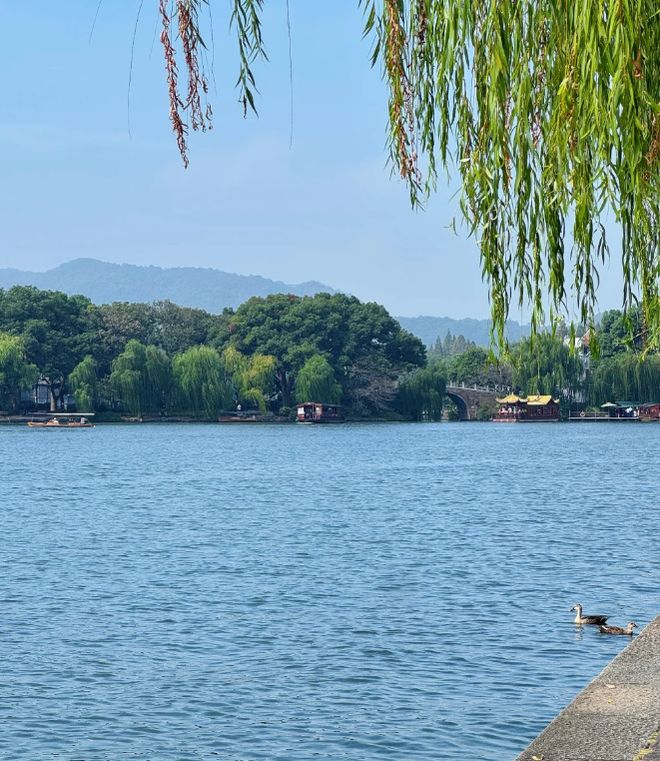 九游官网带娃到杭州旅游要多少钱？杭州亲子四日游价格4天3晚旅游攻略(图3)